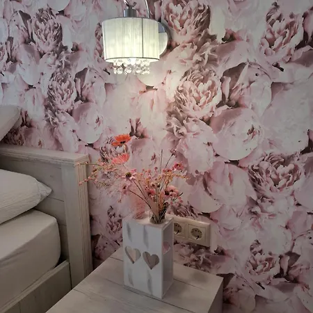 Silver Boutique 3* אגר