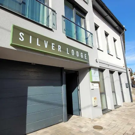 Pensiune Silver Boutique