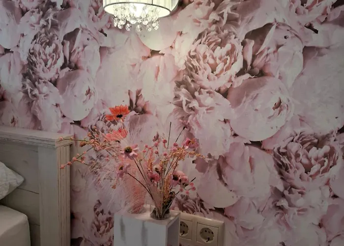 Silver Boutique Pensiune 3*