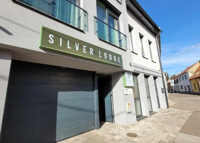 Pensiune Silver Boutique
